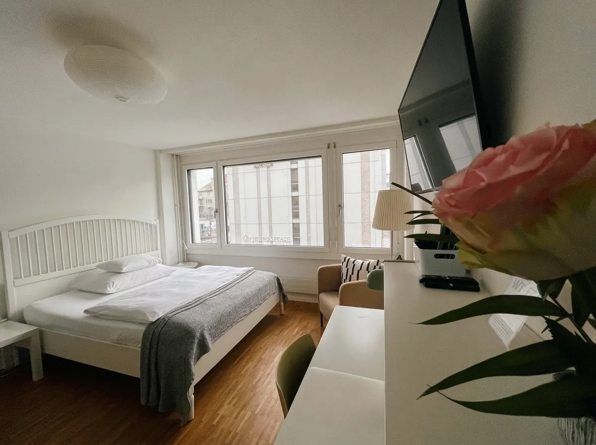 Business Apartment 4203 – Imagen 5: Estudio amueblado, 25 m², Kreis 4, Badenerstrasse, Zúrich