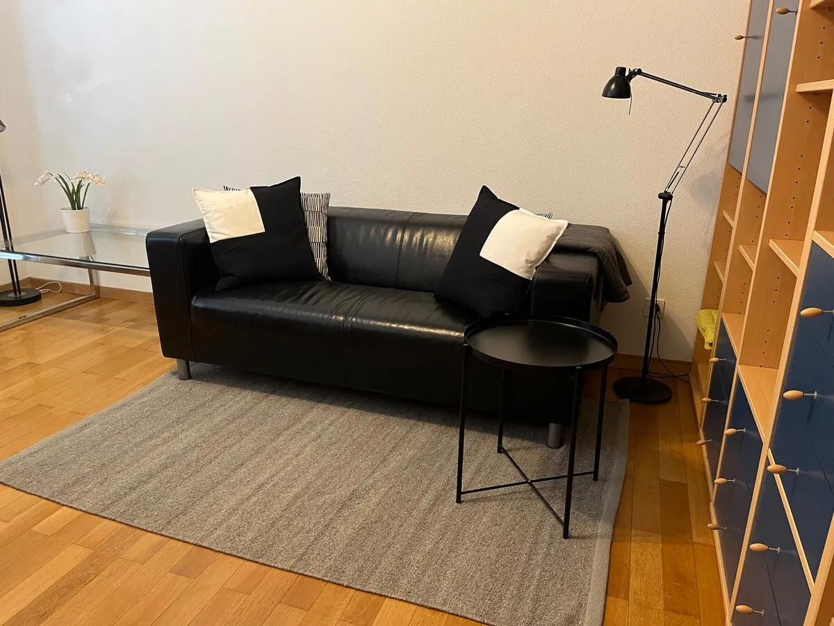 Möblierte 2-Zimmer-Wohnung Binz – Bild 2: möbliertes 2-Zimmer-Wohnung, 60 m², Binz, Kreis 3, Zürich
